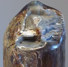 edelstenen en mineralen versteend hout met calcedoon